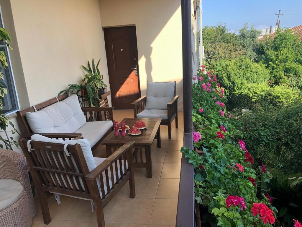 Tinikos Guest House Telavi Exteriör bild