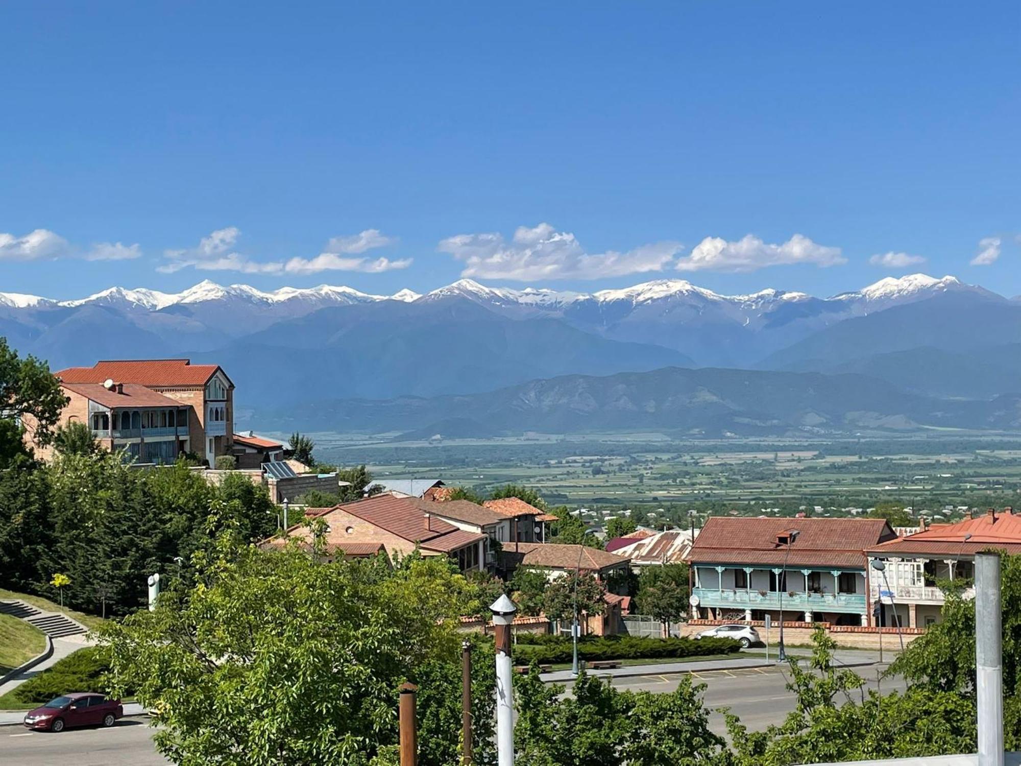 Tinikos Guest House Telavi Exteriör bild