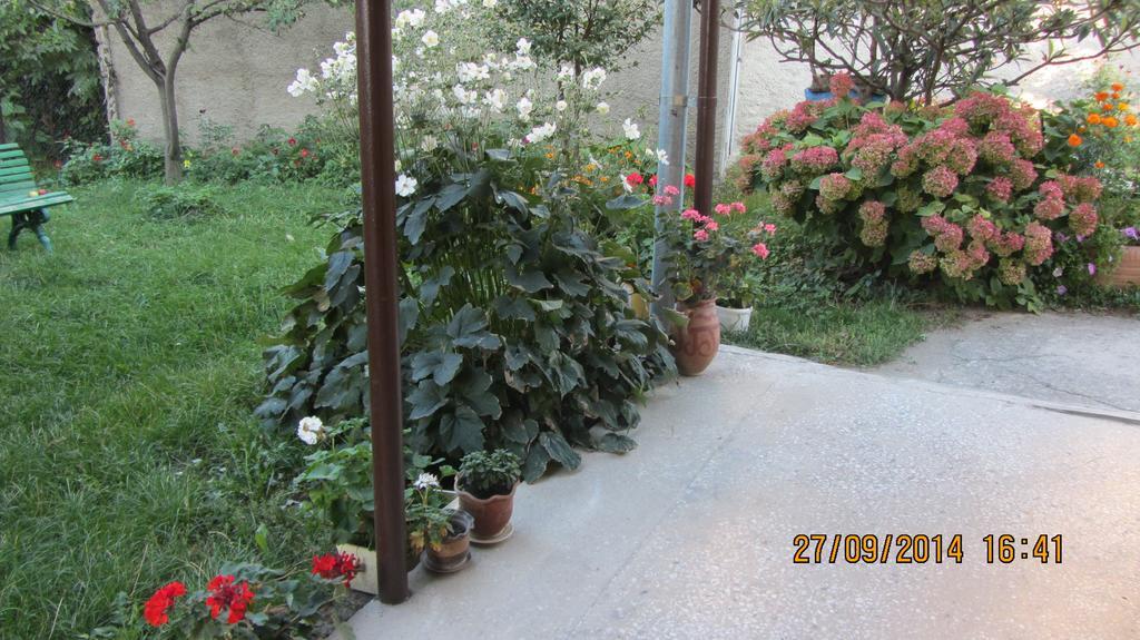 Tinikos Guest House Telavi Exteriör bild