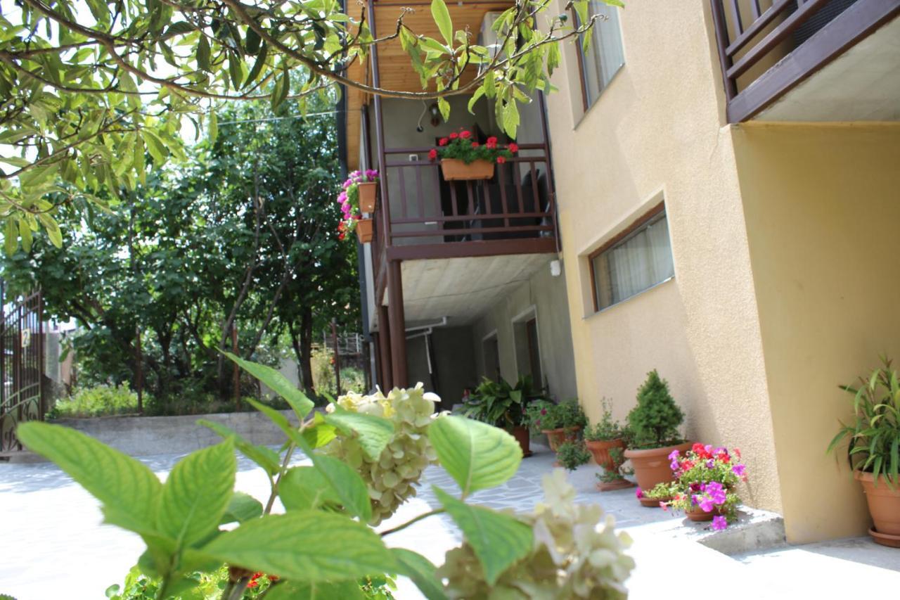Tinikos Guest House Telavi Exteriör bild