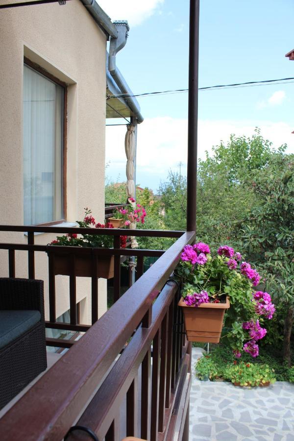 Tinikos Guest House Telavi Exteriör bild
