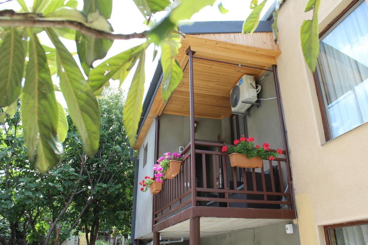Tinikos Guest House Telavi Exteriör bild